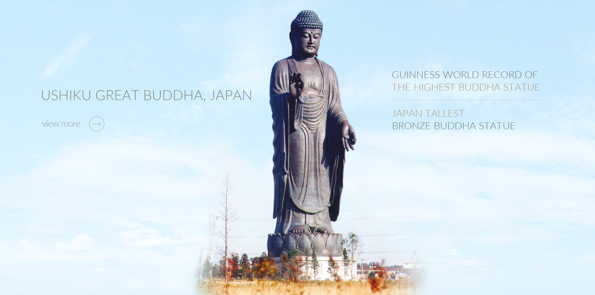 Ushiku Great Buddha, Japan